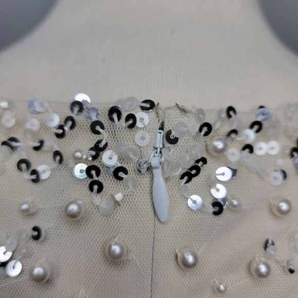 Adrianna Papell | Beaded Short Sleeve Tea Length Formal Dress - Picture 13 of 16